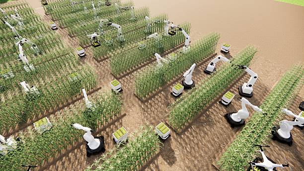 Advanced Plant Habitat and the Arabidopsis studies