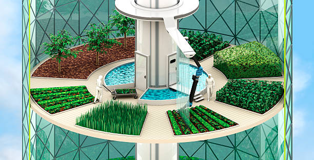Hydroponics versus aeroponics in microgravity