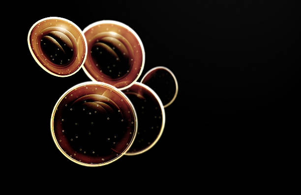 Japanese researchers and the mouse embryo culture