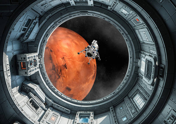 The docking targets and the visual cues