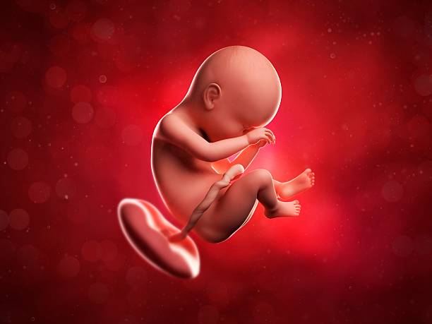 Birth in partial gravity and the health unknowns