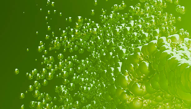 Algae bioreactors and the oxygen production bonus