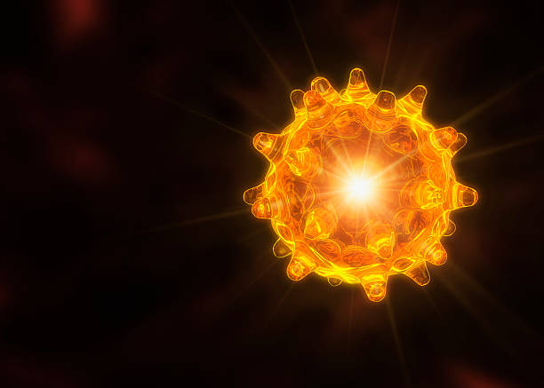 Radiation and the germ cell mutation risk