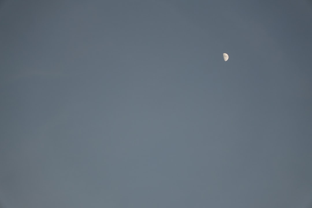 Nikon and the ISS standard today