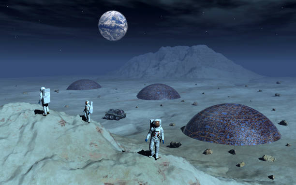 Lunar night survival and the two-week darkness